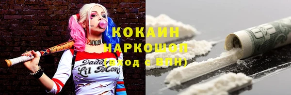 мяу мяу мука Аркадак