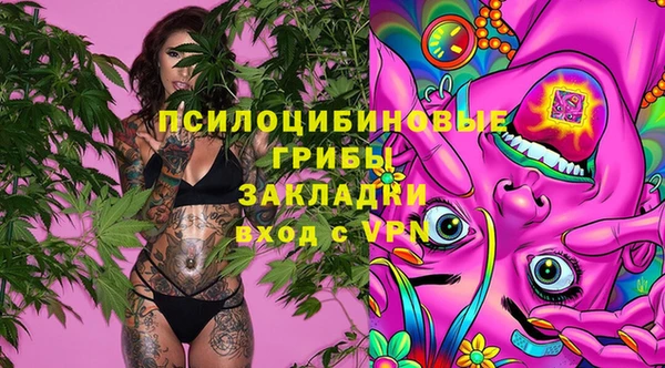 стаф Пролетарск