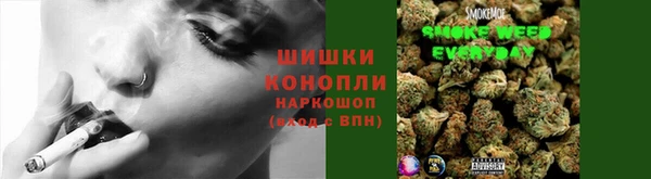 дмт Приозерск
