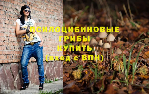 дмт Приозерск